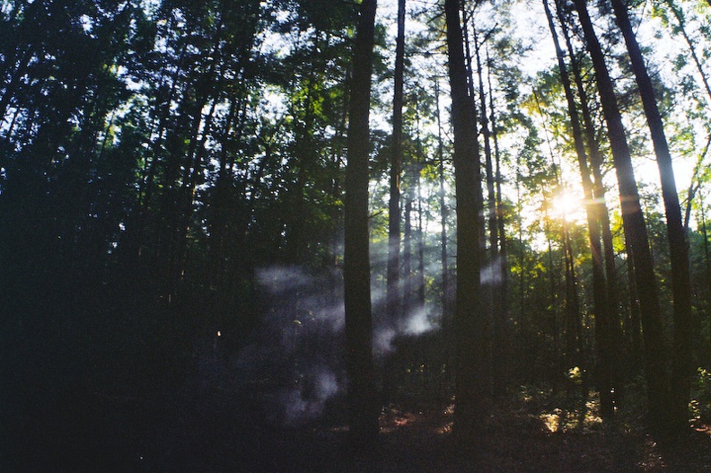 Girls Camping - 07 - Smoke in the Forest.jpg
